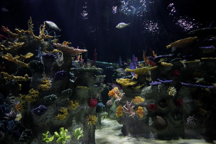 Acuario de Guadalajara