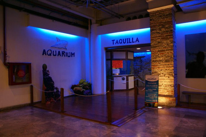 Los mejores acuarios en Puebla
